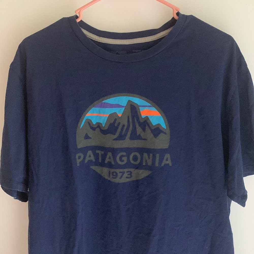 Patagonia tshirt